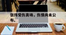 开云官方网页-张伟受伤离场，伤情尚未公布。